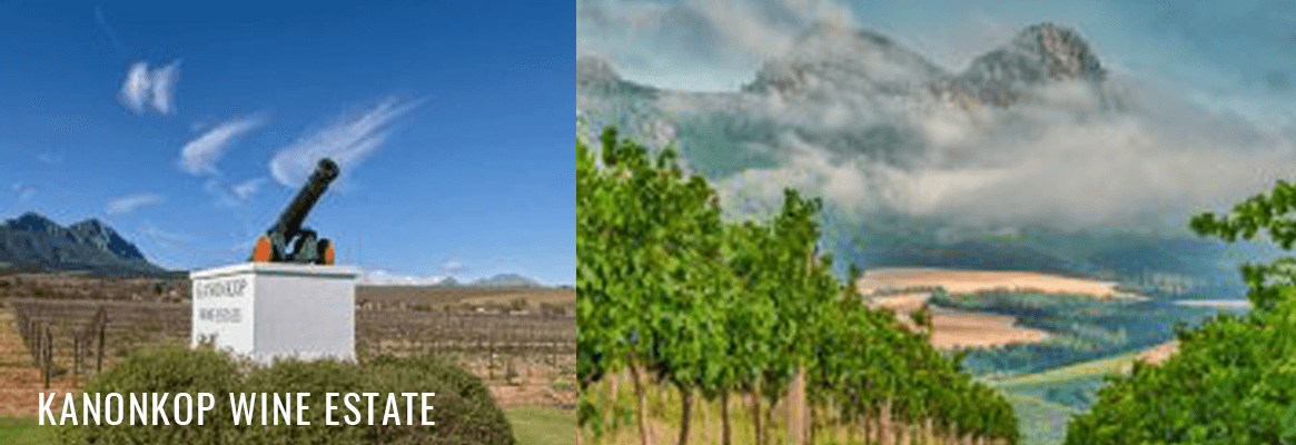 Kanonkop vins Afrique du Sud