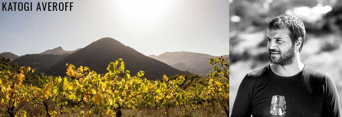 Domaine Katogi Averoff, vins grecs de la région de Metsovo en Epire