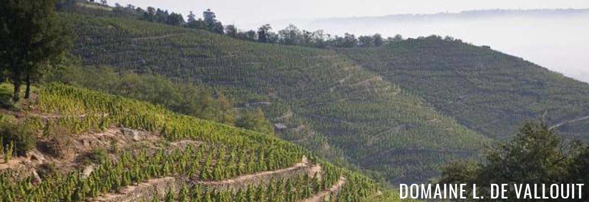 Domaine L. De Vallouit, grands vins de la Vallée du Rhône