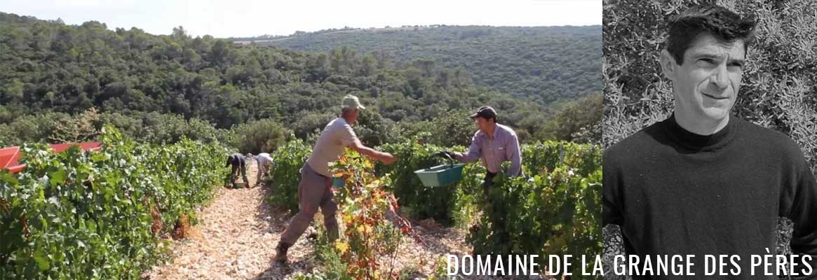 Les vins du Domaine de La Grange des Pères - Vins d'exception du Languedoc