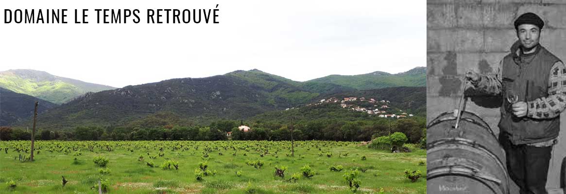 Domaine Le Temps Retrouvé, grands vins naturels du Roussillon