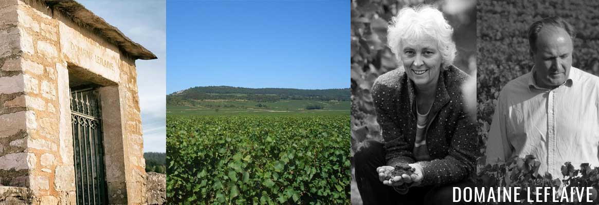 Domaine Leflaive, grands vins blancs de Puligny-Montrachet