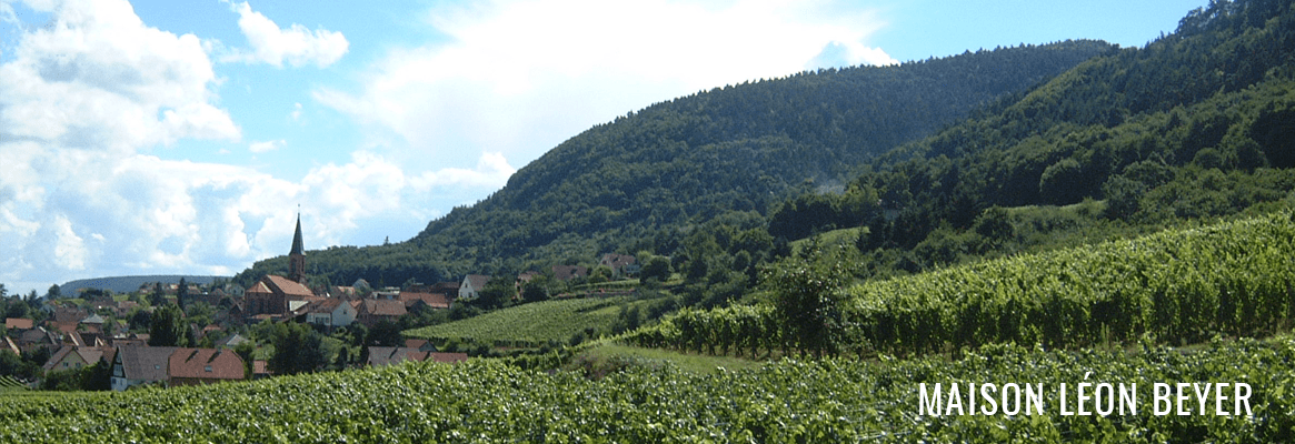 Domaine Léon Beyer