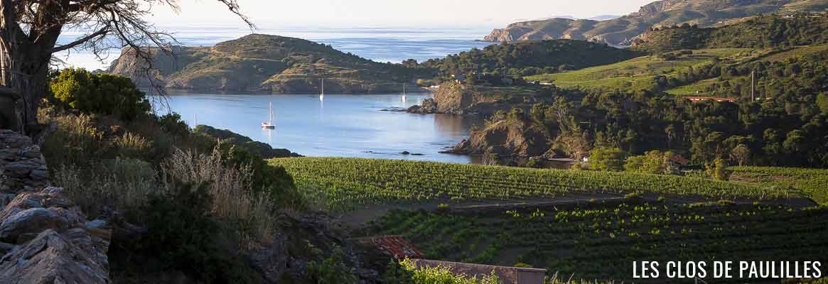 Domaine Les Clos des Paulilles, grands vins de Collioure