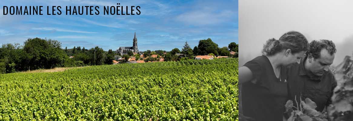 Vins de Loire et de Muscadet en agriculture biologique du Domaine Les Hautes Noëlles