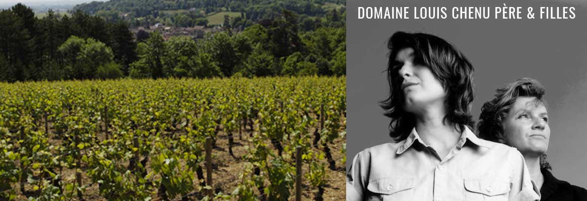 Domaine Louis Chenu, grands vins de Bourgogne