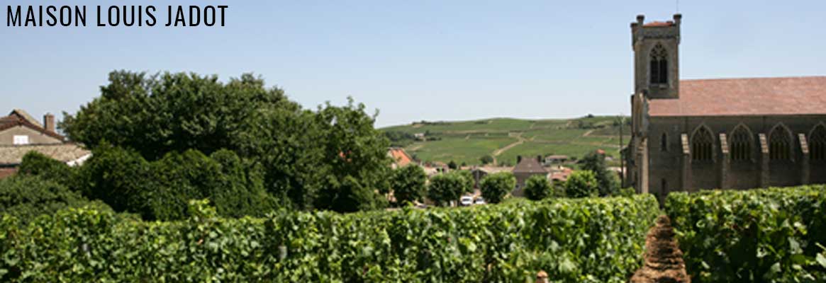 Maison Louis Jadot - Grands vins de Bourgogne