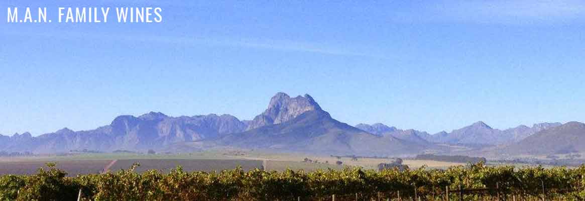 MAN Family Wines, vins d'Afrique du Sud, Pinotage, Chenin blanc