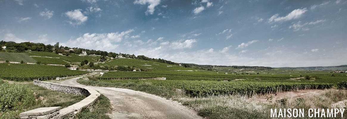 Maison Champy, grands vins de la Côte de Beaune