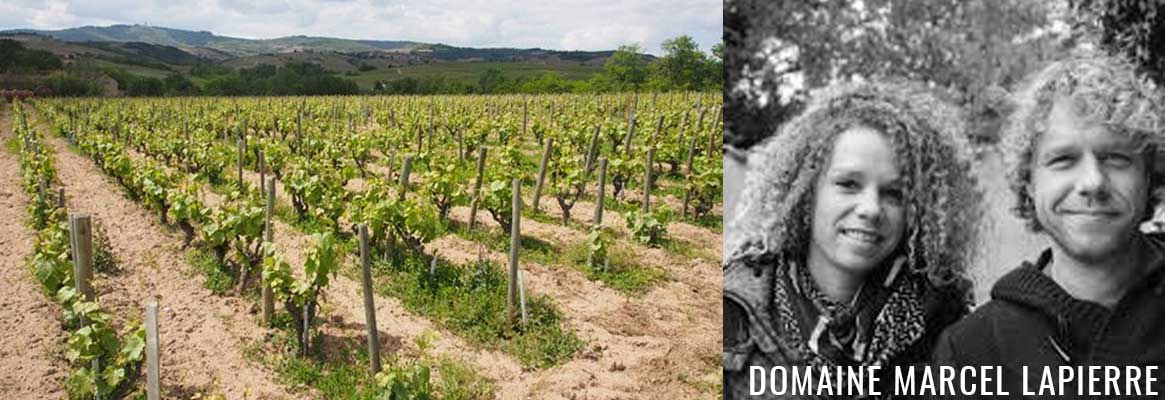 Domaine Marcel Lapierre, grands vins de Morgon et du Beaujolais