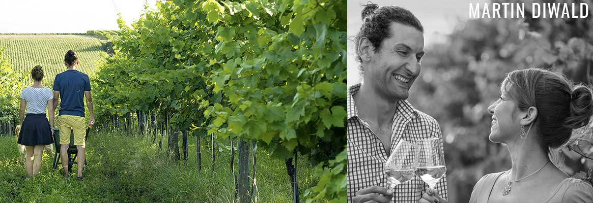 Vins autrichiens BIO de Martin Diwald