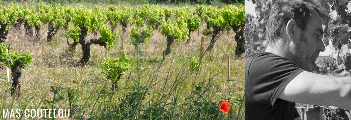 Mas Coutelou, vins biologiques et naturels du Languedoc