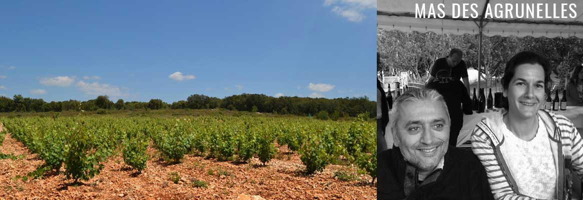 Mas des Agrunelles, vins naturels du Languedoc