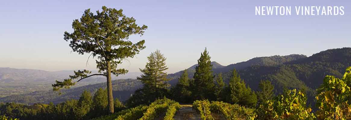 Newton Vineyards, grands vins californiens de la Napa Valley