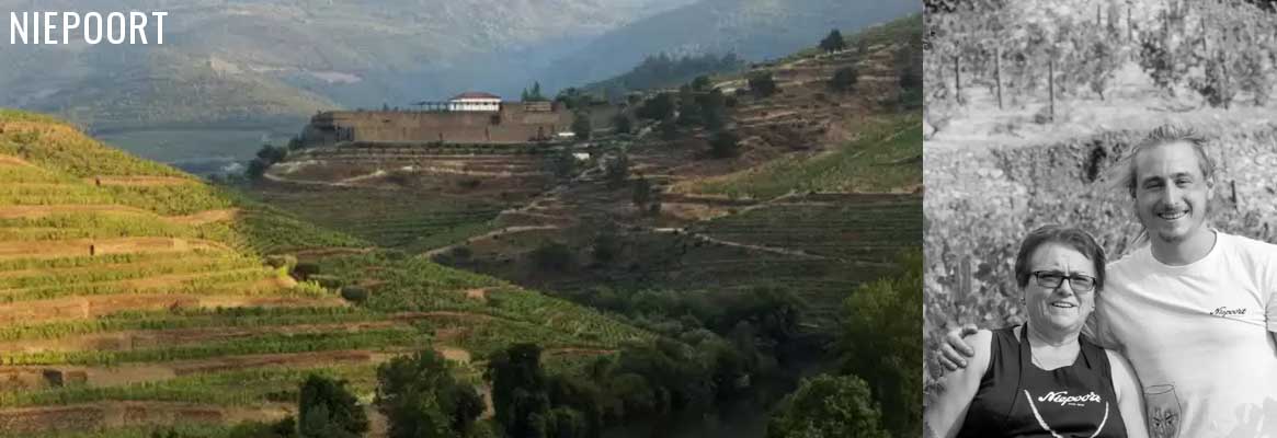 Niepoort, grands vins portuguais du Douro, vins de Porto