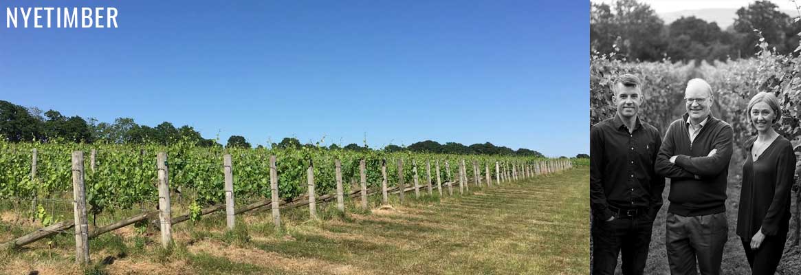 Nyetimber, grands vins effervescents du sud de l'Angleterre