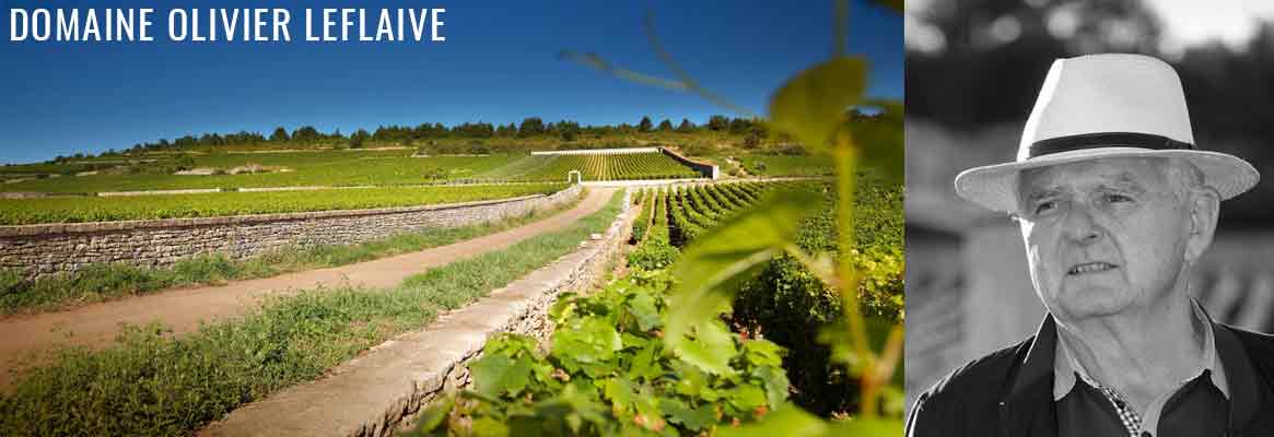 Domaine Olivier Leflaive, grands vins blancs de la Côte de Beaune