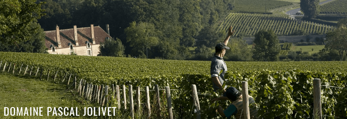 Le Domaine Pascal Jolivet, grands vins de Sancerre et de Pouilly-Fumé