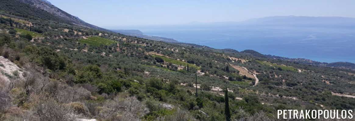 Domaine Petrakopoulos, vins grecs de Céphalonie