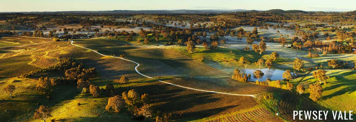 Pewsey Vale Vineyard, grands rieslings australiens