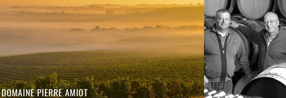 Domaine Pierre Amiot, grands vins de Bourgogne