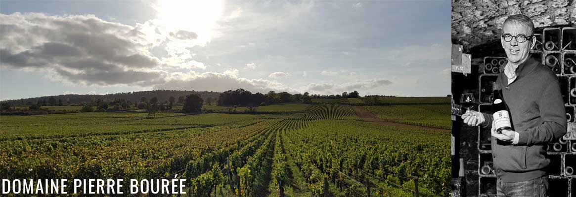 Domaine Pierre Bourée, grands vins rouges de Gevrey-Chambertin