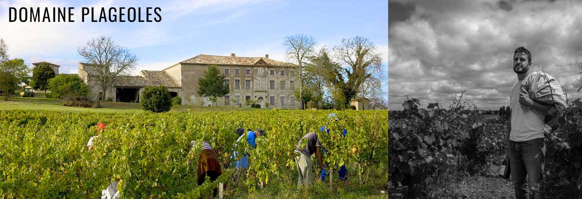 Domaine Plageoles, vins de Gaillac, cépages rares et oubliés et du Sud-Ouest de la France