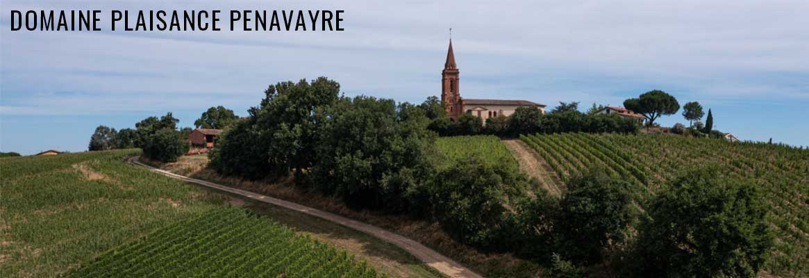 Les vins de Fronton du Domaine Plaisance Penavayre, cépages Négrette et Syrah