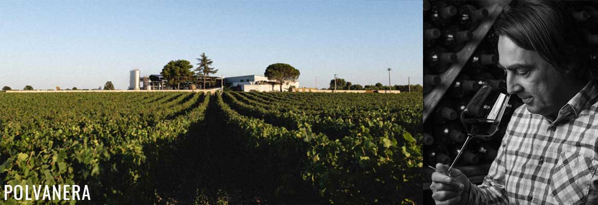 Polvanera, grands vins italiens des Pouilles