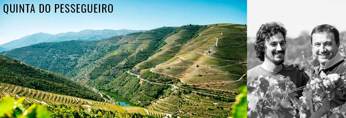 Quinta do Pessegueiro, grands vins portuguais du Douro, vins de Porto