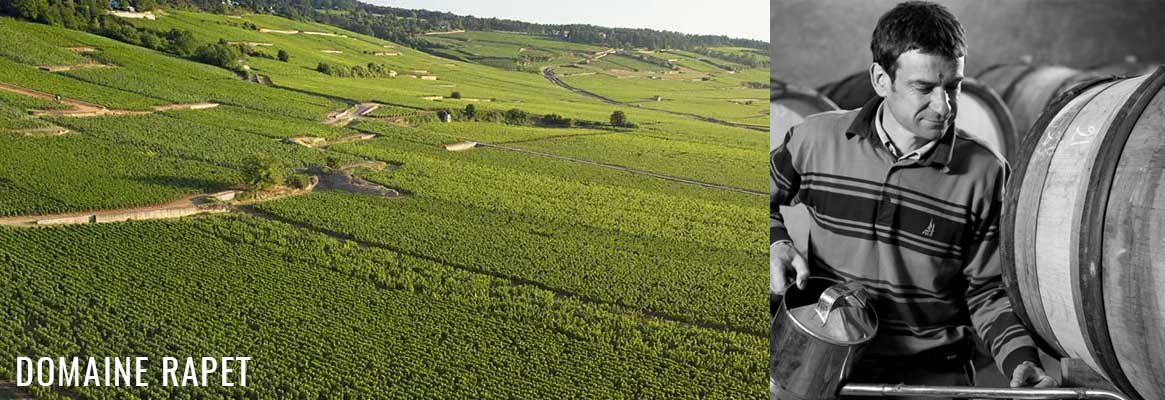 Domaine Rapet, grands vins de Corton, Pernand-Vergelesses et Savigny-les-Beaune