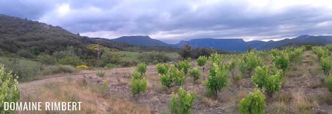 Domaine Rimbert, vins de Saint-Chinian