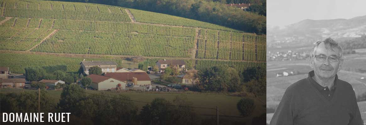 Domaine Ruet, grands vins de Brouilly en Beaujolais