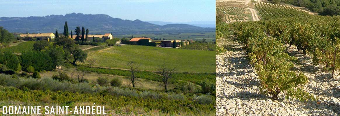 Grands vins de Cairanne, Domaine Saint-Andéol