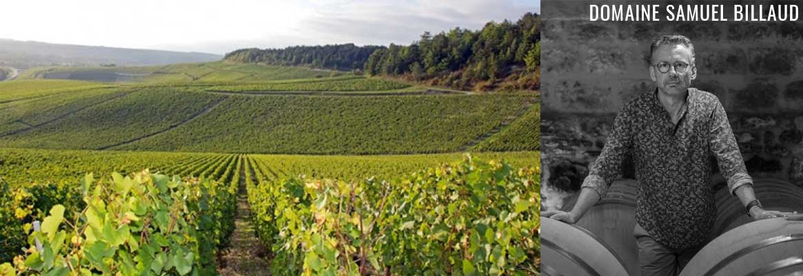 Domaine Samuel Billaud, Grands vins de Chablis