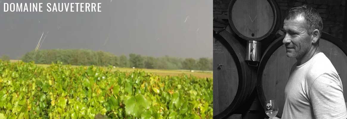 Domaine Sauveterre, vins natures du Mâconnais en Bourgogne