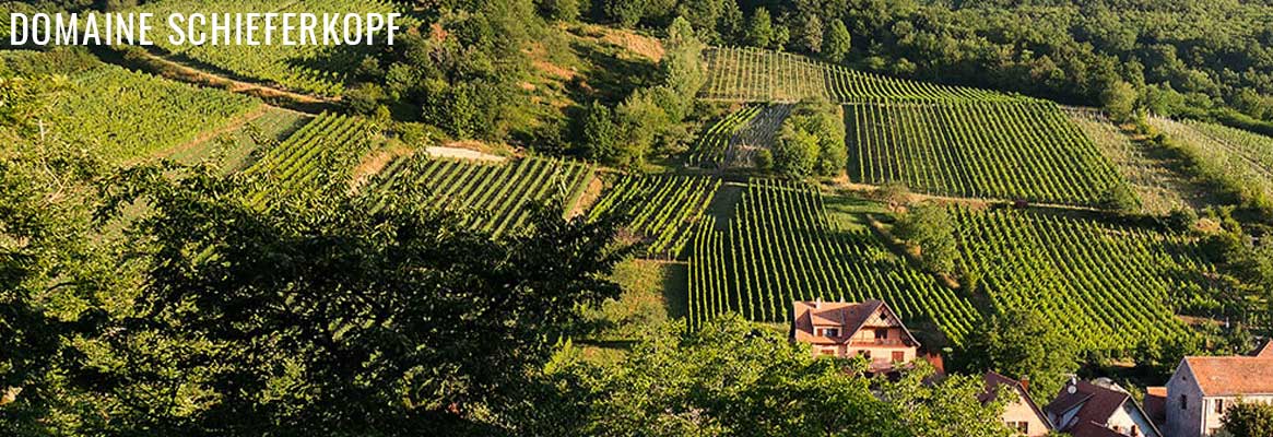 Domaine Schieferkopf, grands vins d'Alsace