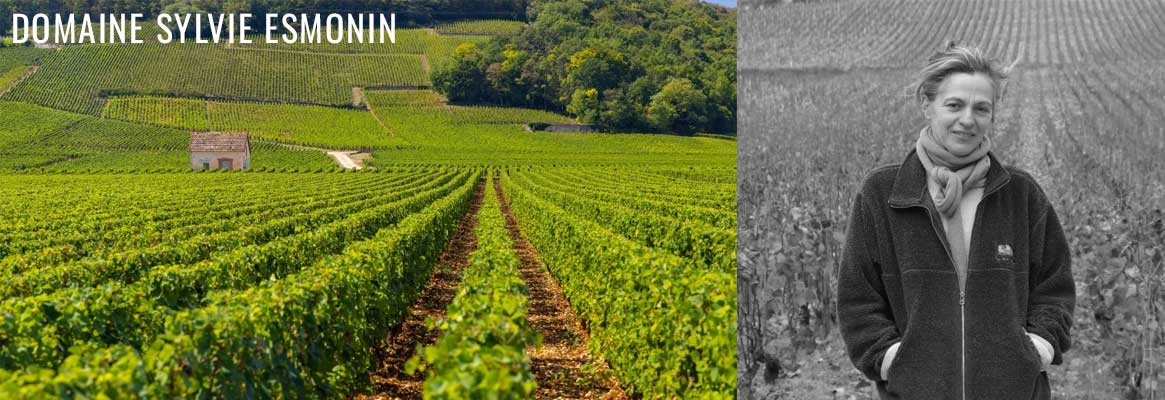 Domaine Sylvie Esmonin, grands vins de Bourgogne