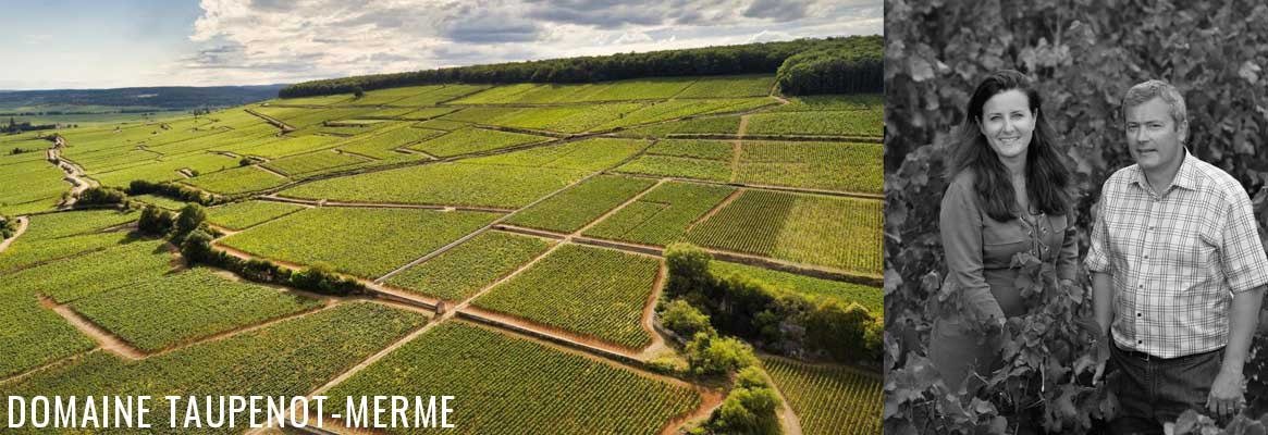 Domaine Taupenot-Merme, grands vins de la Côte de Nuits en BourgogneBourgogne