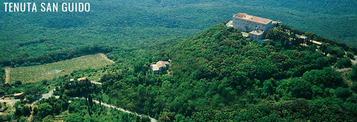 Tenuta San Guido, grands vins rouges italiens de Toscane