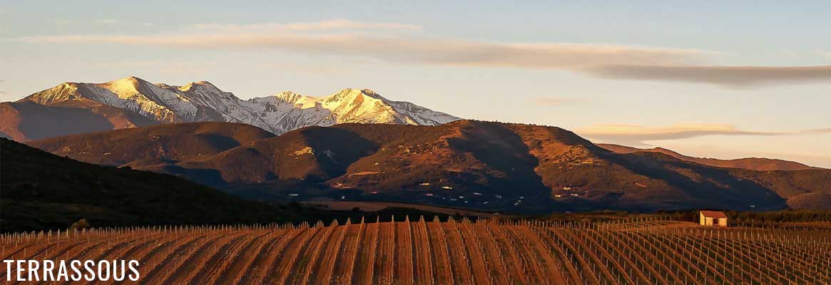 Grands Rivesaltes des Vignobles de Terrassous