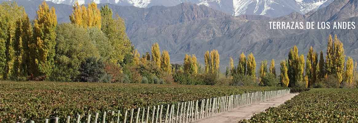 Terrazas de los Andes, grands vins argentins