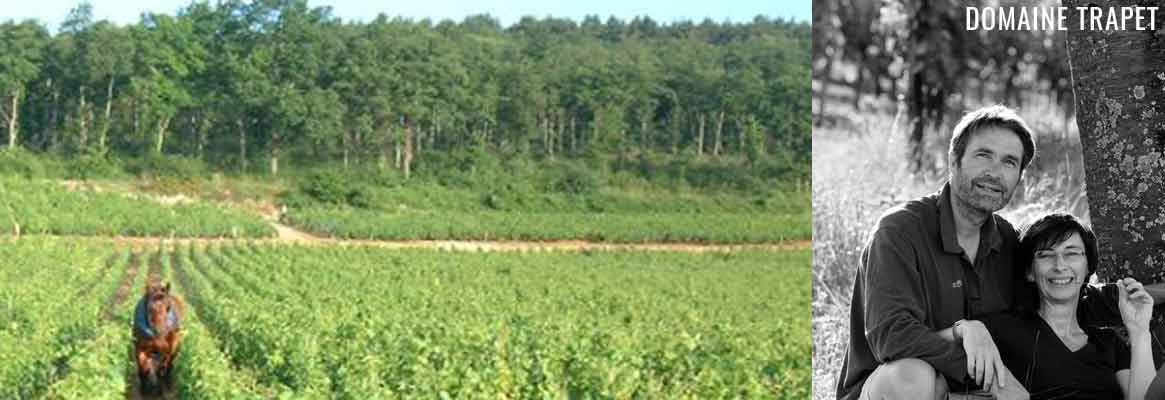 Domaine Trapet, grands vins de Bourgogne à Gevrey-Chambertin