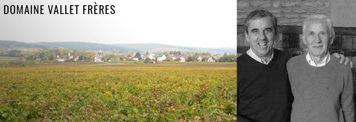 Domaine Vallet Frères, grands vins de Bourgogne