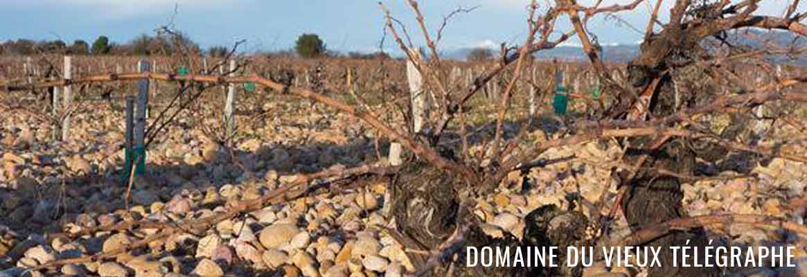 Grands vins de Châteauneuf-du-Pape, Domaine du Vieux Télégraphe