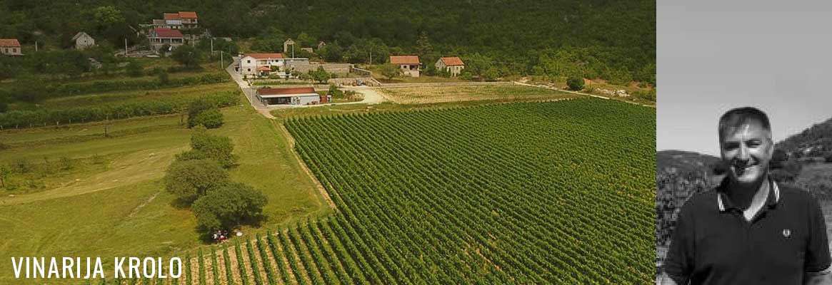 Domaine Vinarija Krolo, grands vins de Croatie en Dalmatie