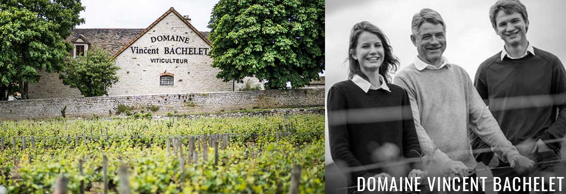 Domaine Vincent Bachelet, grands vins blancs et rouges de Bourgogne