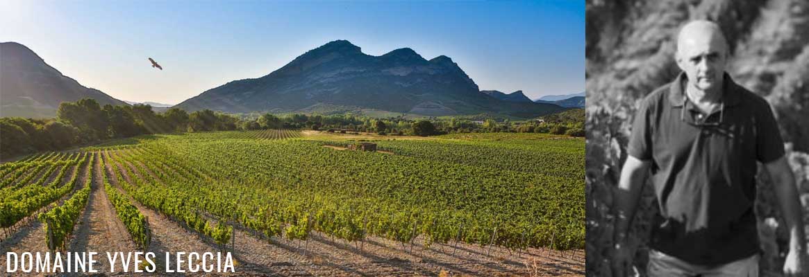 Yves Leccia, grands vins de Corse à Patrimonio