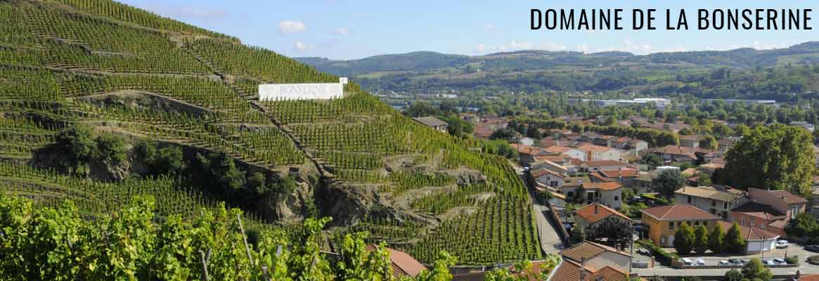 Domaine de Bonserine, grands vins de Côte-Rôtie et Condrieu