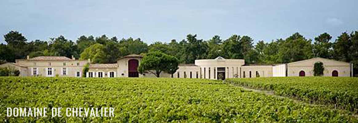 Domaine de Chevalier, grand cru classé de Graves, grands vins de Pessac-Léognan